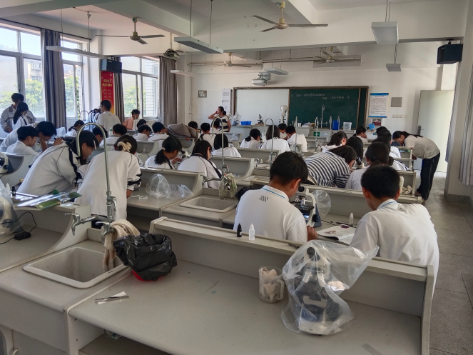 c59107e4632cc18370853877af72b83