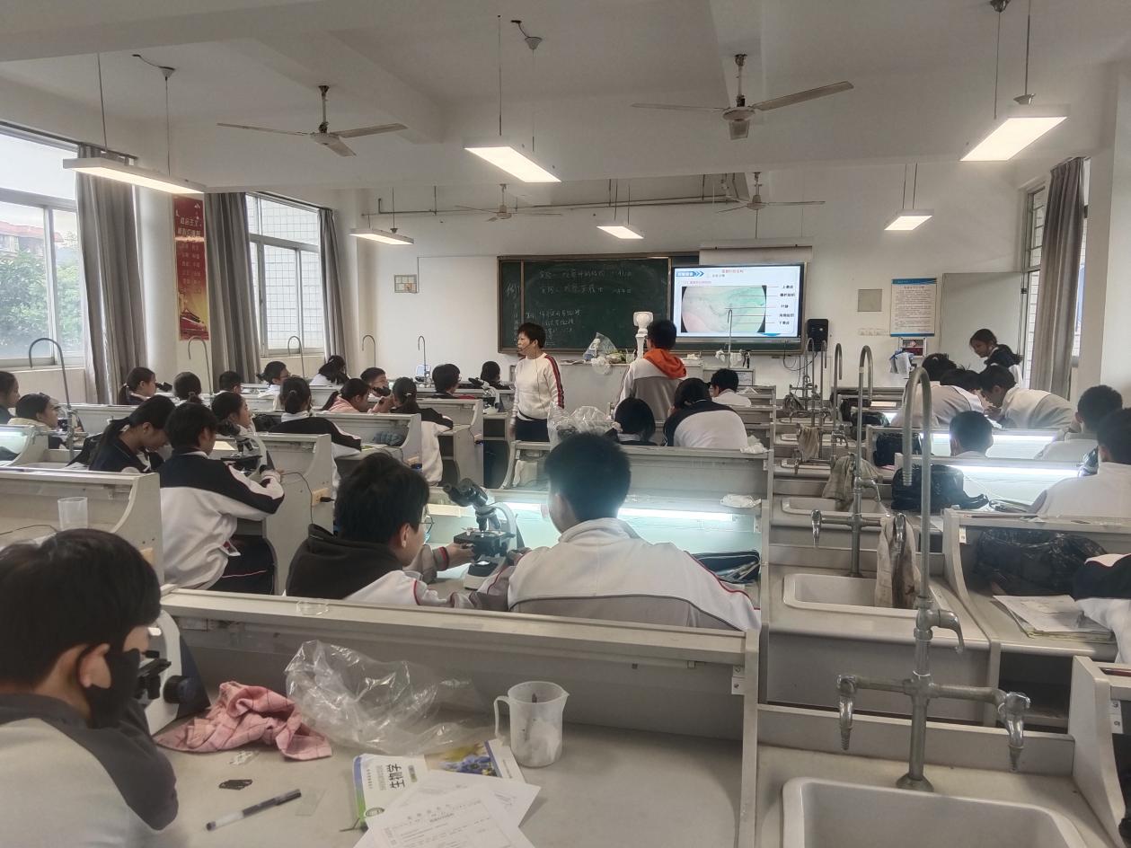 1cff2a3622b8c16b392099dc1eda5a1