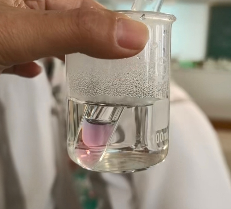 c3134ed8047e5d74a9577333fee2ef94